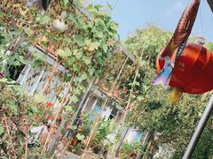 -姥家大锅台水库渔家