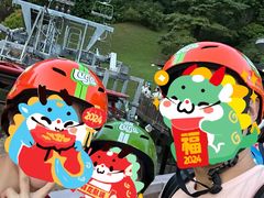 -圣淘沙天际线斜坡滑车