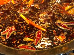-星鸿社重庆老火锅(燃灯寺分店)