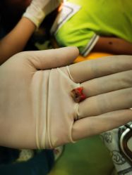 -青苗儿童口腔(长楹天街购物中心)