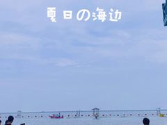 -碧海金沙