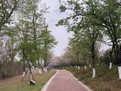 -明蜀王陵(地铁站)