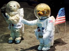 -济州岛泰迪熊博物馆