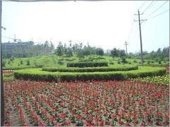 -长春公园(普阳街道)