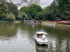 -晓港公园