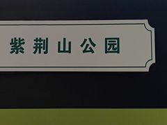 -紫荆山公园