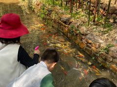 -竹泉村旅游度假区