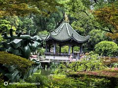 -申粤轩酒楼·三十年粤菜经典(丁香花园店)