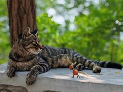 -北京西山国家森林公园