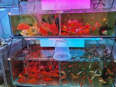 -大学城夜市大排档(凤栖路店)