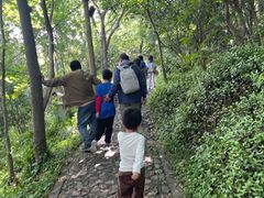 -上海佘山国家森林公园西佘山园