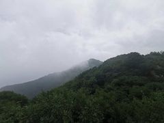 -阳台山自然风景区