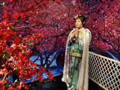 -武汉杜莎夫人蜡像馆