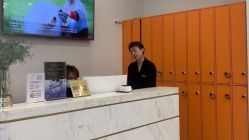 -YESIDO椰岛造型
