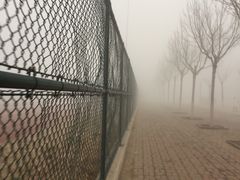 -南开大学滨海学院