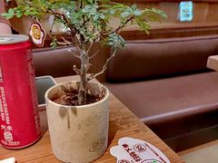 -CURRY YA 熟成咖哩專門店(深圳湾万象城店)