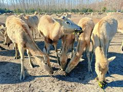 -溱湖国家湿地公园