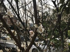 -香竹农庄•传统竹筒饭(十年店)