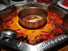 -蜀九香火锅(九眼桥店)