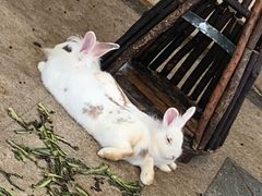 -诸暨同方豪生大酒店