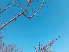 -碓臼峪自然风景区