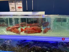 -盒马X会员店(上海森兰商都店)