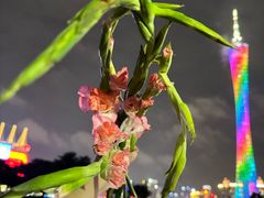 -二沙岛艺术公园