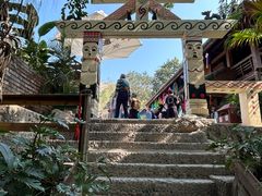 -西双版纳原始森林公园