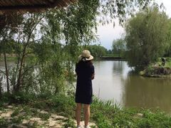 -白渔泡湿地公园