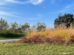 -汉长安城未央宫国家考古遗址公园