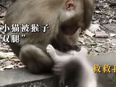 -昆明动物园