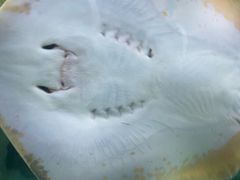 -珠海长隆海洋王国