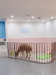 -Moni星球萌宠·小马宝莉·灵蛇·高端高阶全萌宠互动体验俱乐部(红豆国际广场店)