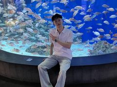 -成都浩海立方海洋公园