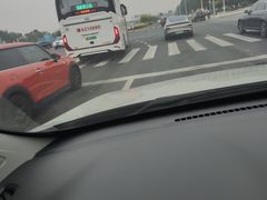 -甜心庄园·甜心草莓采摘园(西青中北店)