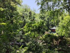 -岳麓山风景名胜区