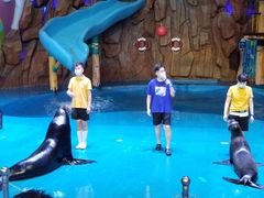 -烟台海昌鲸鲨海洋公园