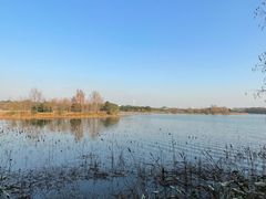 -东湖落雁景区