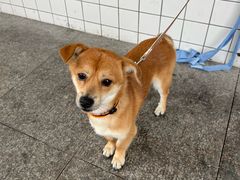 -常鲜德乐购迎桂馒头店(麻巷公寓店)