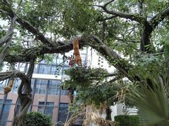 -悦隆庄温泉度假酒店