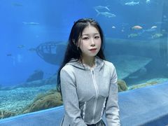 -福州罗源湾海洋世界旅游区