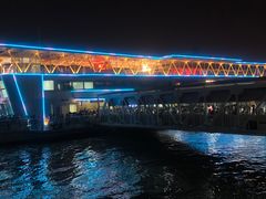 -武汉关码头(轮渡站)