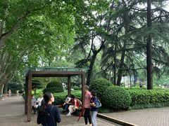 -静安公园(静安寺街道)
