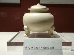 -温州博物馆