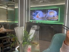 -探窝·竹笙椰子鸡(杨箕店)