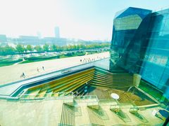 -羲和雅苑•北京烤鸭(乐园道万象城店)