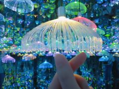 -天津梵高星空艺术馆(天河城旗舰店)