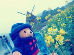 android_upload_pic-广州市石门国家森林公园