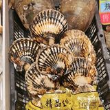 当季海鲜，又大又鲜美！
