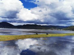 -纳帕海依拉草原